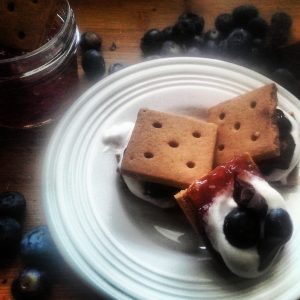 4th of July Smores