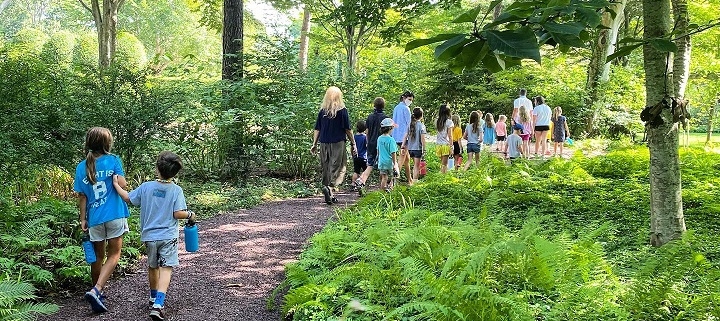 Kids Walking up a Path