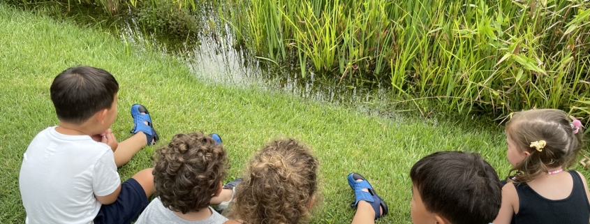 Kids in the Grass